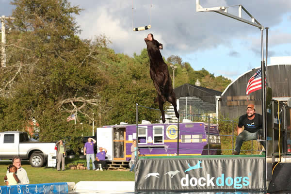 Dockdogs